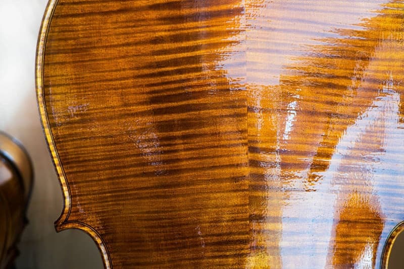 Close-up of the stunning wood grain on a varnished instrument